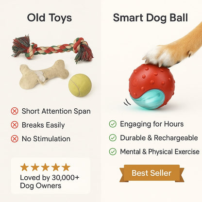 Smart Toy Ball