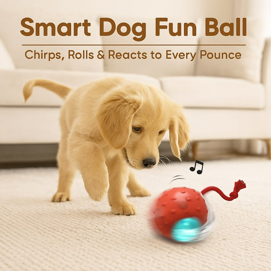 Smart Toy Ball
